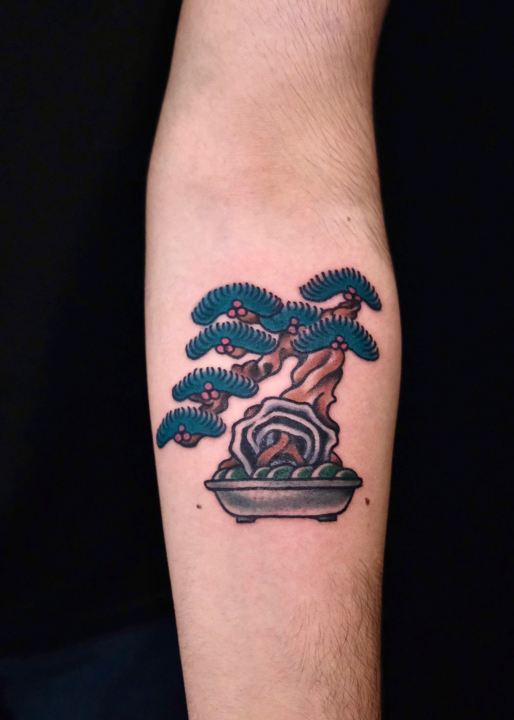 Fertiges Oldschool Tattoo eines Bonsai-Baums auf dem Unterarm – gestochen mit Liebe zum Detail bei Good Old Times Tattoo in Berlin Mitte.