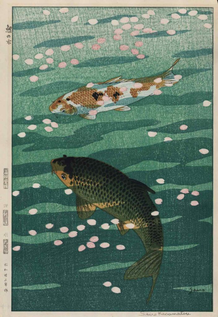 Traditioneller japanischer Holzschnitt eines flussaufwärts schwimmenden Karpfen mit Kirschblüten – Symbol für Neubeginn, Durchhaltevermögen und den Frühling in der Irezumi-Tätowierungskunst.