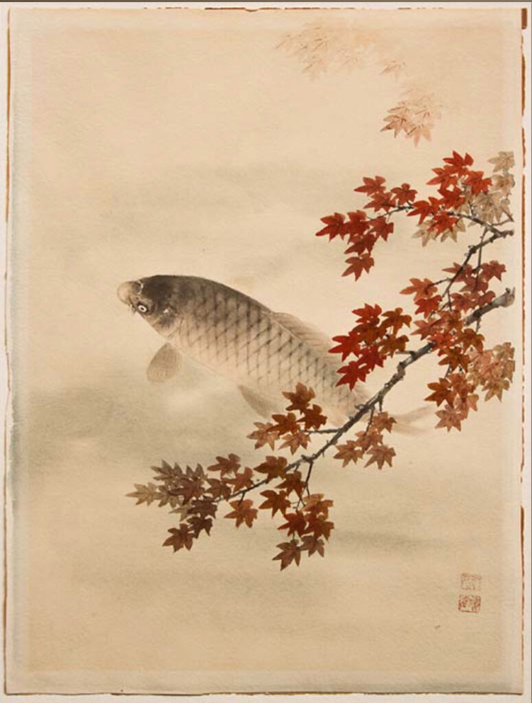 Japanischer Karpfen unter fallenden Ahornblättern – Darstellung des Herbstes in der Horimono-Tradition, als Sinnbild für Reife, innere Einkehr und Vergänglichkeit im klassischen Tattoo-Stil.