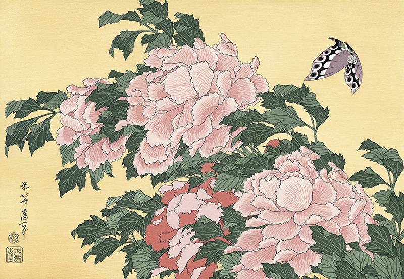 peony and butterfly